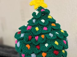 Crewe Lions Club Caps of Courage