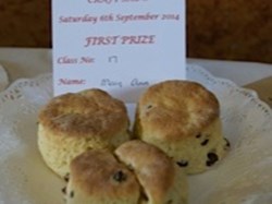 2014 Flower and Produce Show