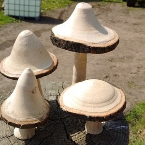 Wooden fungi