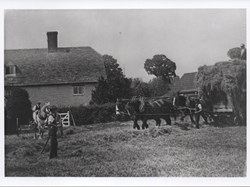 Hay making in field opposite Mory's - we think Mr Durham and Monty Webb, c. 1935