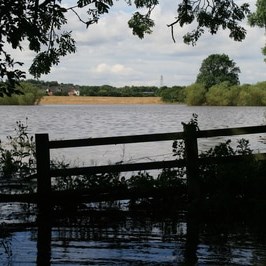 Shuttington and Alvecote Parish Council Gallery