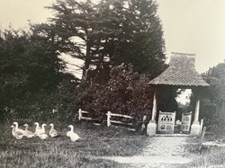 Farringdon Parish Council Hampshire Home