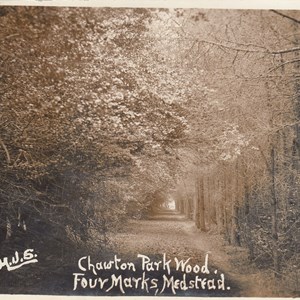 Chawton Park Wood - Postmarked 22.6.1915