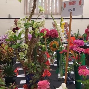 Mannings Heath & District Horticultural Society Summer Show 2025
