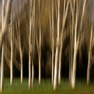 01. Abstract #1