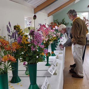 Bucklebury and Marlston Horticultural Society Summer Show Report 2024