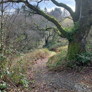 Hereford Mountain Club Our recent activities