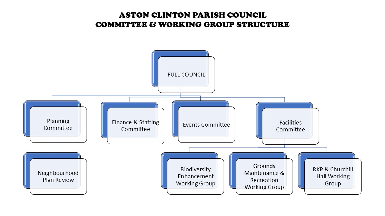 Committee & Working Group Structure