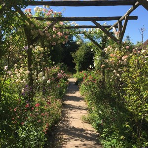 BETHERSDEN GARDENER'S SOCIETY Photo Gallery