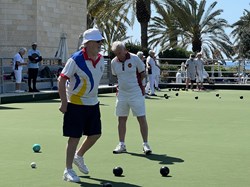 Henfield Bowling Club The Bowls
