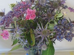 Margaret Harker Hall & Blofield Memorial Ground Blofield Gardening Club