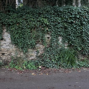 Buckland Dinham Lower St Clean up