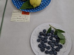 Bucklebury and Marlston Horticultural Society Summer Show 2026