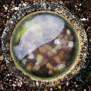 02. Cold bird bath