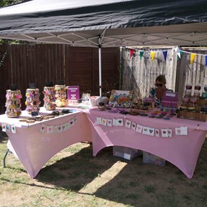 Goodworth Clatford Parish Council  Flower Show  2025 photographs.