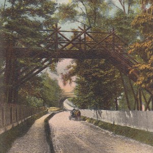 Rustic Bridge c1905