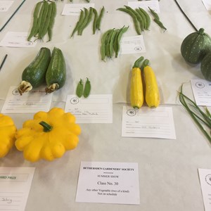BETHERSDEN GARDENER'S SOCIETY Photo Gallery