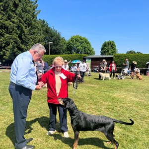 Whixall Social Centre Whixall Dog Show 2023 Report and Phots