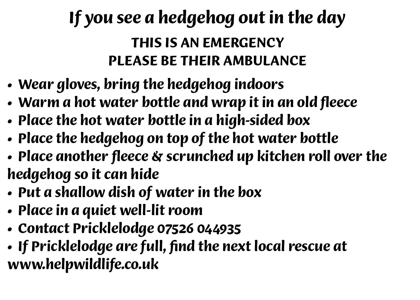 Wilder Hook Holt Park Tiggywinkles