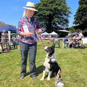 Whixall Social Centre Whixall Dog Show 2023 Report and Phots