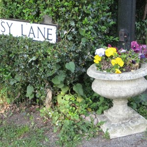 Bleasby Community Website Bleasby in Bloom & VE Day 2020