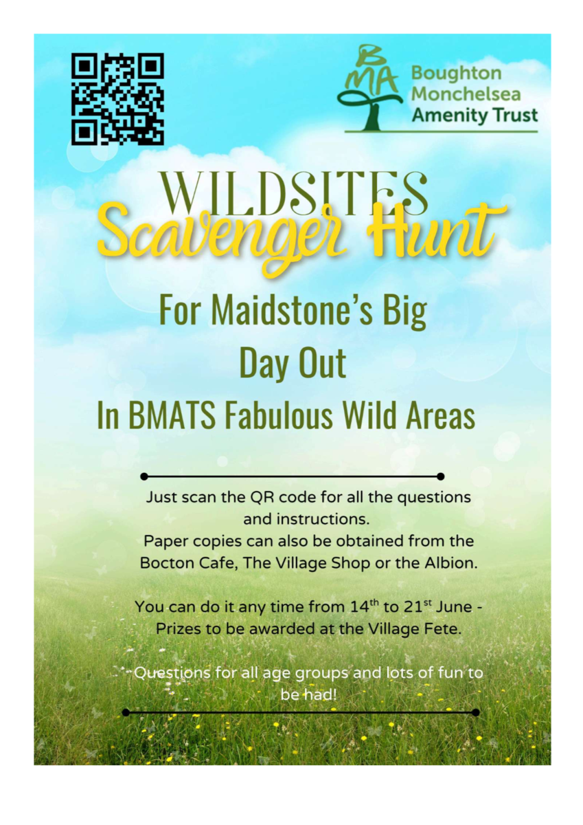 BMAT Maidstone's Big Day Out