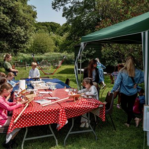 Berwick St James Parish Berwick Village Fayre - 8th June 2025
