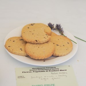 HBT Horticultural Society Photographs 2025