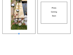 The Allington Hillbillies Celebrate 2026