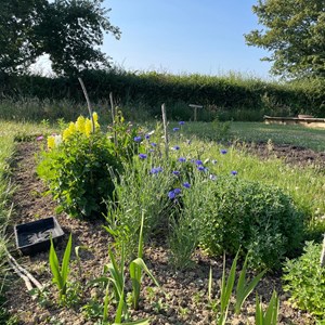 Benenden Parish Council Allotment Association