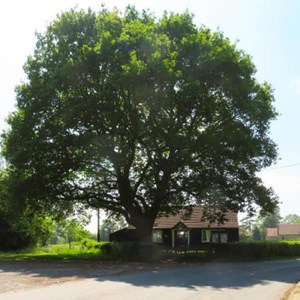 Earl's Croome Parish Council Gallery