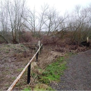 This is what Phase 1 looked like before GRT started works. Overgrown and uninviting.