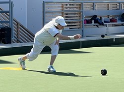 Henfield Bowling Club The Bowls