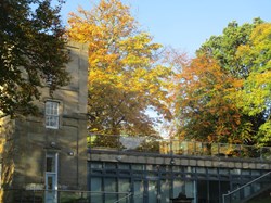 Autumn colour above Woodend - 2022