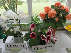 Bucklebury and Marlston Horticultural Society Autumn Show 2025