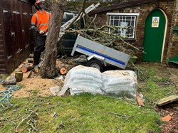 Woodbridge Bowls Club Home