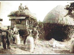 Mr William Mallinson collecting hay at Beaver Farm, now Raffles Estate in Carlisle
