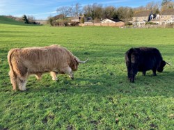 Martinstown Village Hall AP