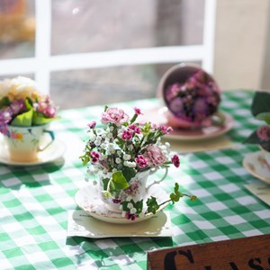HBT Horticultural Society Photographs 2025