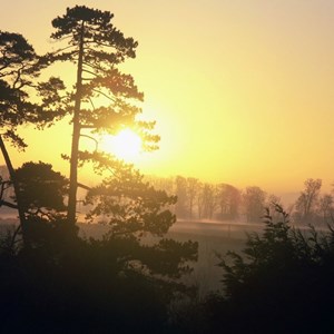 Sunrise - Linda Taylor