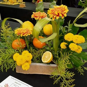 Mannings Heath & District Horticultural Society Photo Gallery