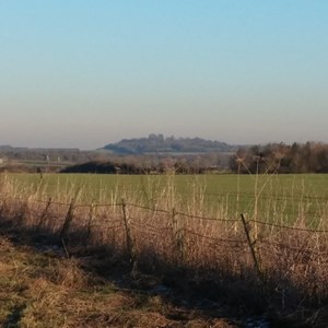 View of Danebury Hillfort