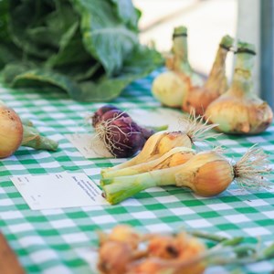 HBT Horticultural Society Photographs 2025