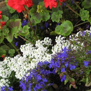 Cuddesdon and Denton Parish Council Jubilee Celebration