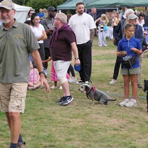 Goodworth Clatford Parish Council  Fete 2026 photos