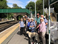 Probus Shelley Walks 2024