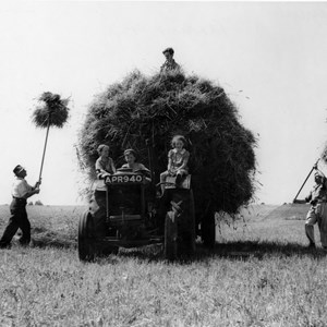 Hay making on Lamperts farm