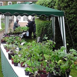 Maidford Parish Council Summer Fete