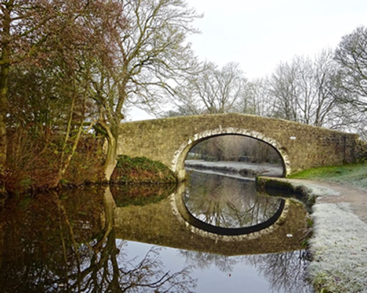Canal bridge near Salterforth