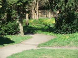 footpath leading to The Chestnuts area behind changing rooms